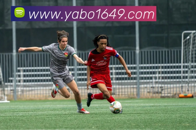 亚博体育发展历程